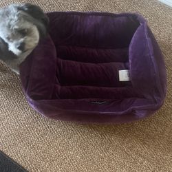 Dog Bed , Purple Color , Size Small 