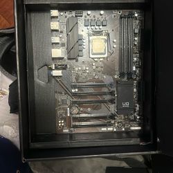 Gigabyte UD Series & CPU  i7 11700f