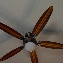 Ceiling Fan Surf boards