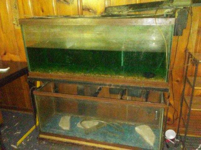 Fish tanks 75gal 55gal with stand and all the accessories for both tanks