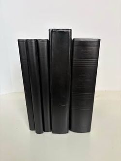 Set of 5 Black Painted Books for Staging & Styling Bookshelves | Multiple Sets Available