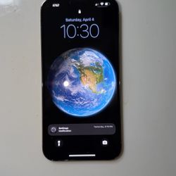 iPhone 13 Pro Max (Unlocked)
