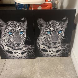 Wall Decor