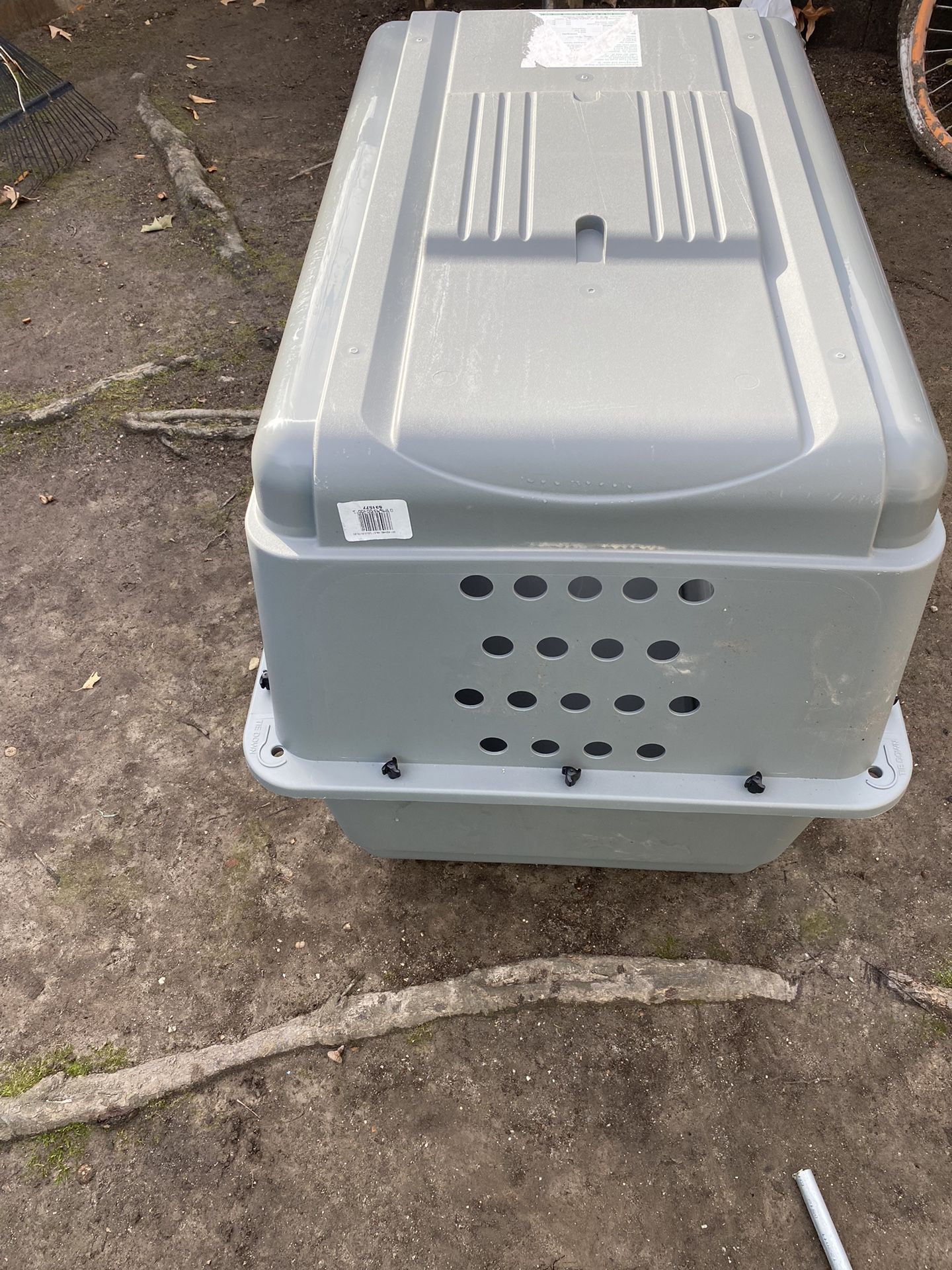 Large Pet Kettle