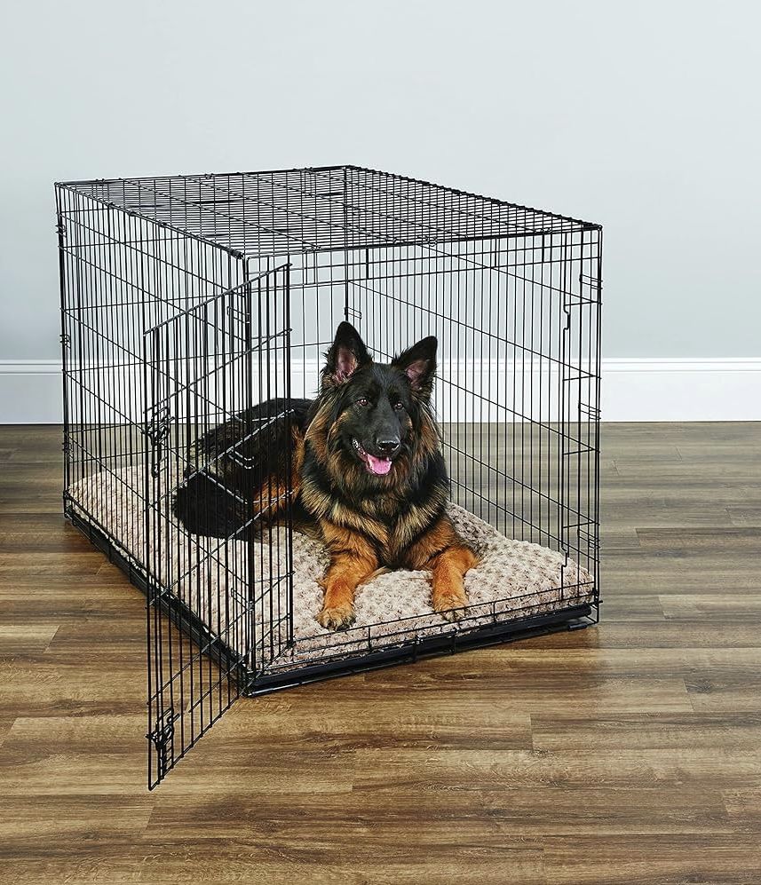 Dog Crates for Extra Large Dogs - XXL Dog Crate 48" Pet Cage Double-Door Best for Big Pets - Wire Metal Kennel Cage & Tray - in-Door