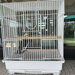 Bird Cage For Sale With Snacks