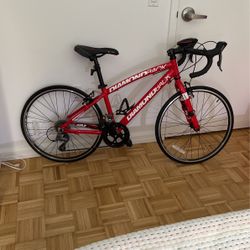 Barely used 24 DiamondBack Street Bike. for Sale in New York NY