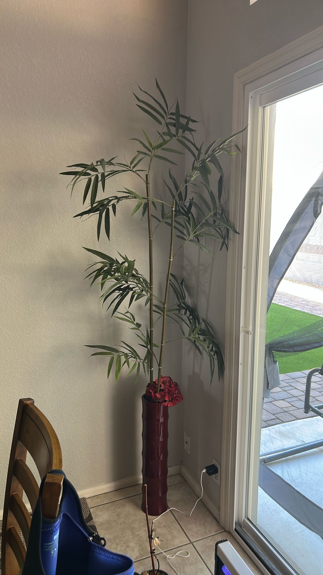 Bamboo Plant With Burgundy Vase