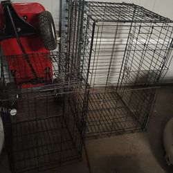Dog Crates