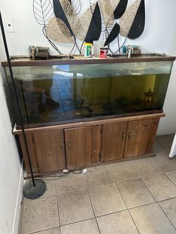 Fish tank