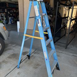 6’ Fiberglass Ladder