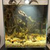 Biotope Tank
