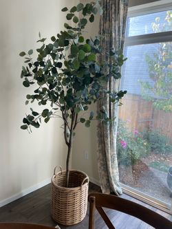 Pottery Barn tree and basket