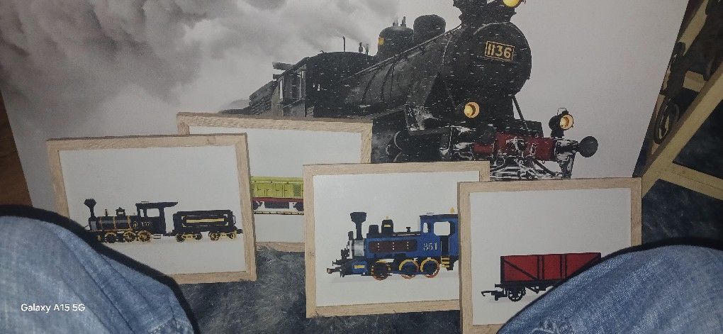 Helping Older Person Sale His  Nice Train Collection  Hangs On The Wsll ASKING $120o