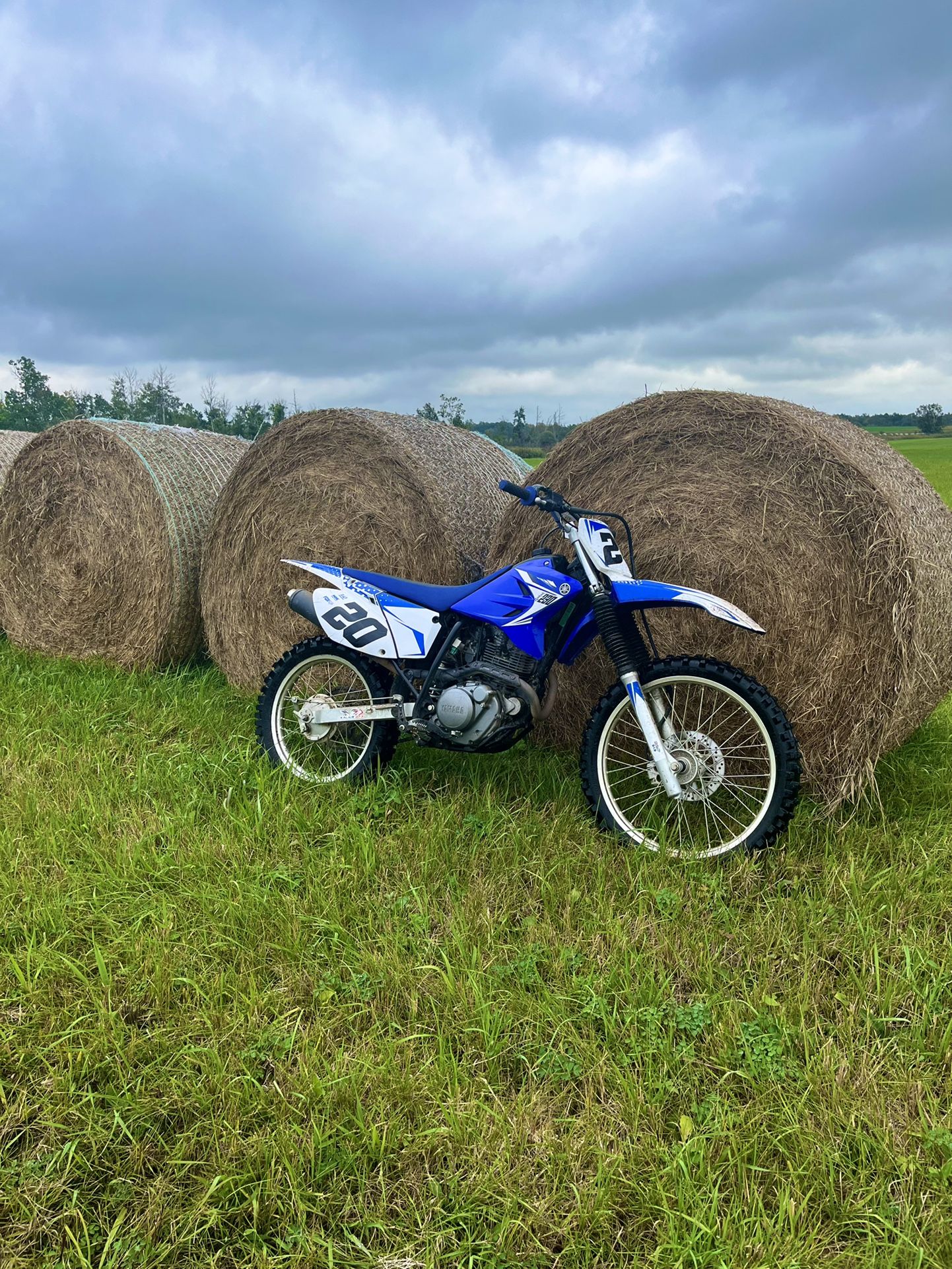 2014 Yamaha TTR230