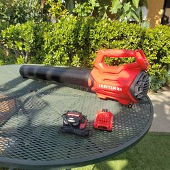 Leaf Blower Craftmans