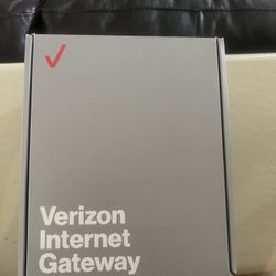 Verizon Internet Gateway