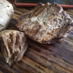 Agatized Petrified Wood Stone Very Heavy /Northern California