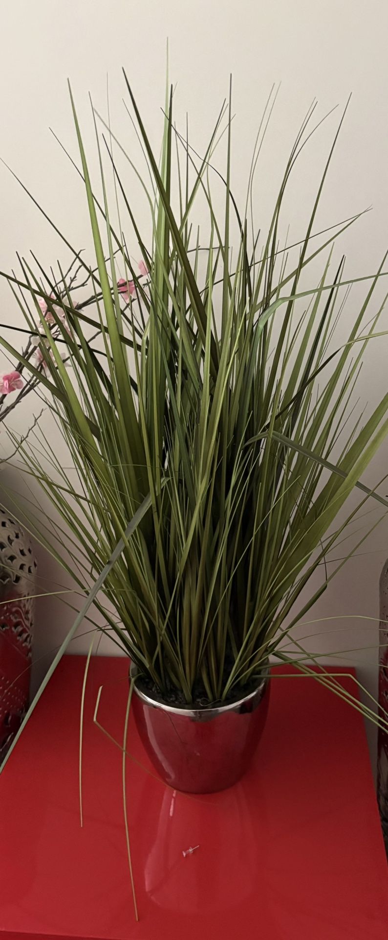Houseplant Decoration 