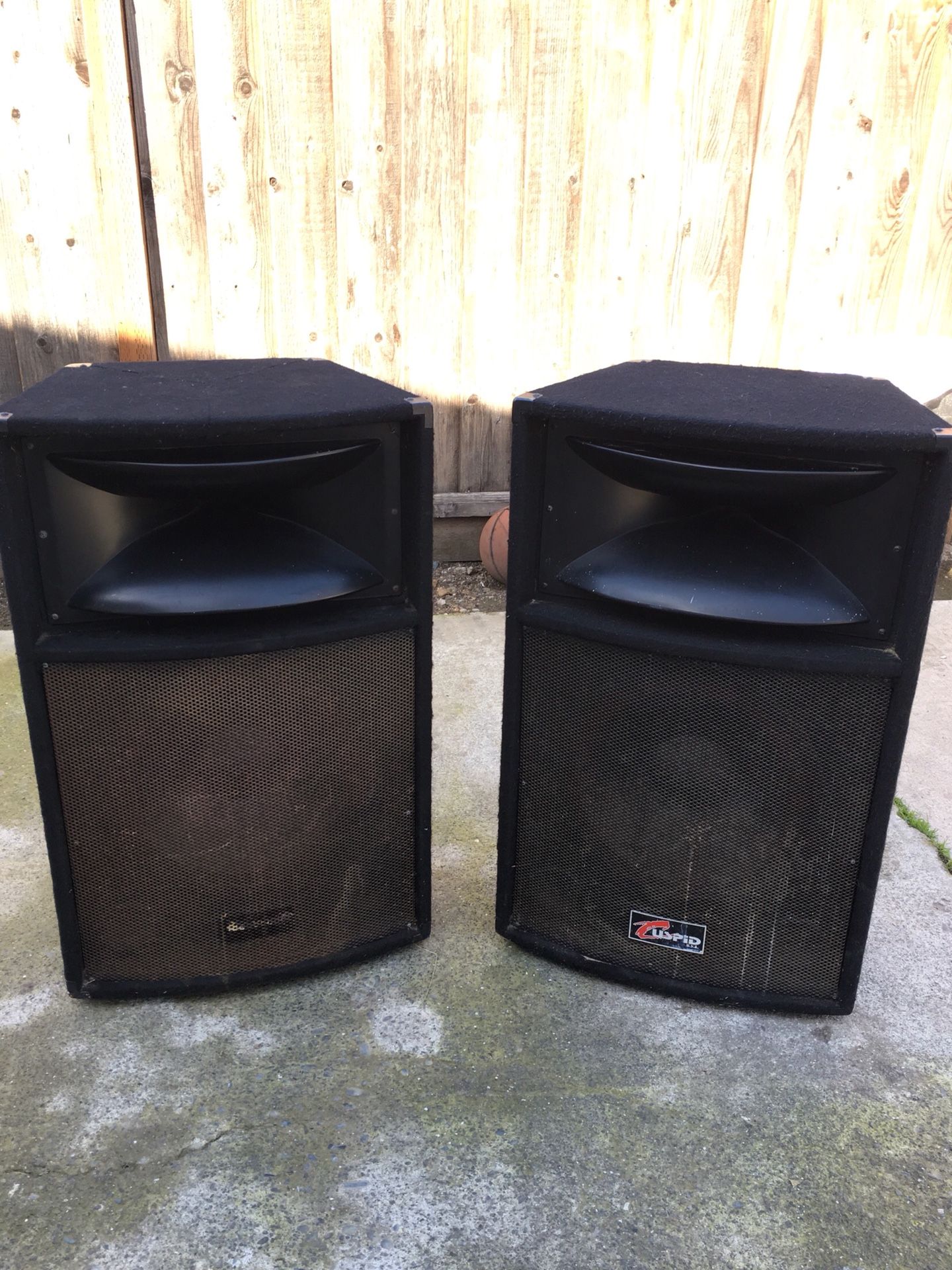 Set of 2 Cuspid DJ Box Speakers