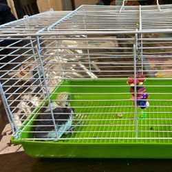 Cockatiel Travel Cage
