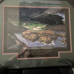 Arnold Palmer Framed Memorabilia