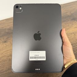 iPad Pro 11” M4 Wifi & Cellular 