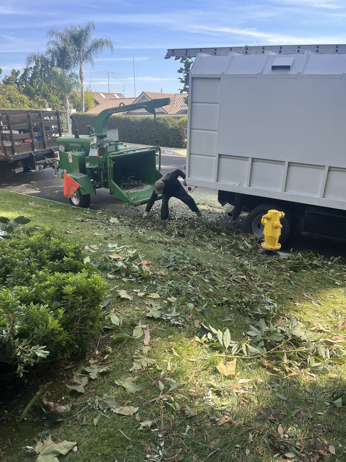 👩💻Stump Removal👩💻