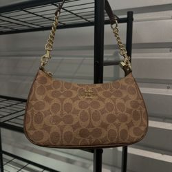 Coach Bag Brown