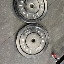 Black Bumper Plates PAIR 25lb | Vesta Fitness