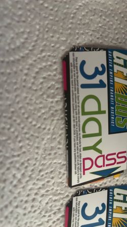 31 day pass