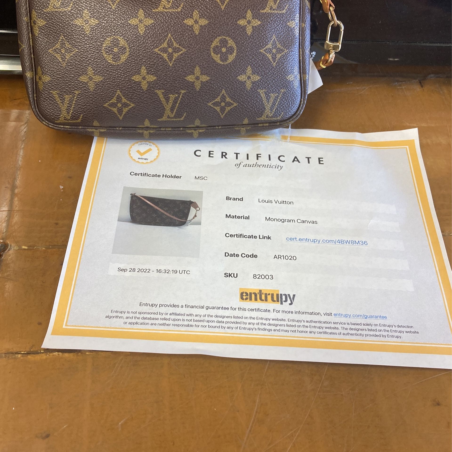 Louis Vuitton Maida Hobo Bag for Sale in Gilbert, AZ - OfferUp