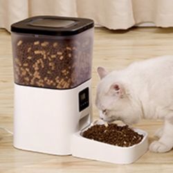 Automatic Cat Feeder