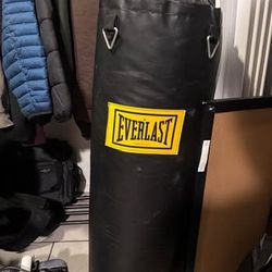 Everlast punching bag