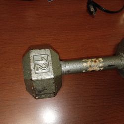 12lb Dumbbell 
