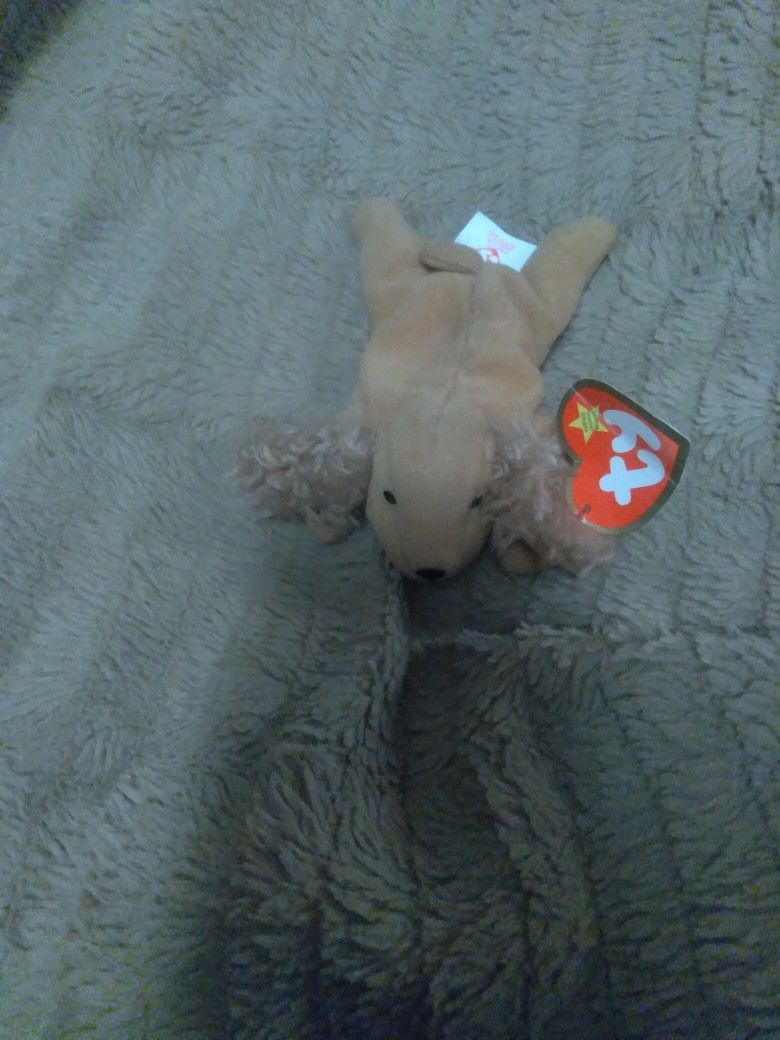 Spunky Teenie Beanie Baby
