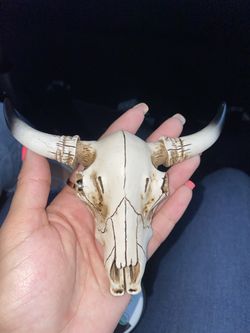 Bull Head
