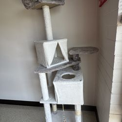 Cat Tree