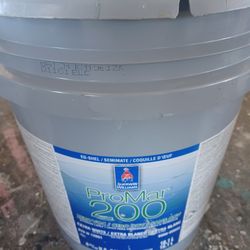 5 Gallons Interior Eggshells Beige Paint 