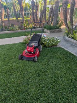 Lawnmower Lawn mower