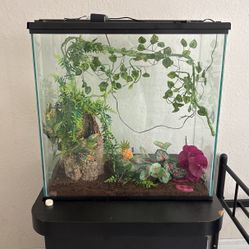 Fish Tank Or Lizard Tanks 
