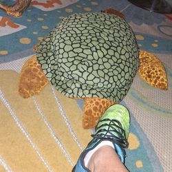 Turtle 