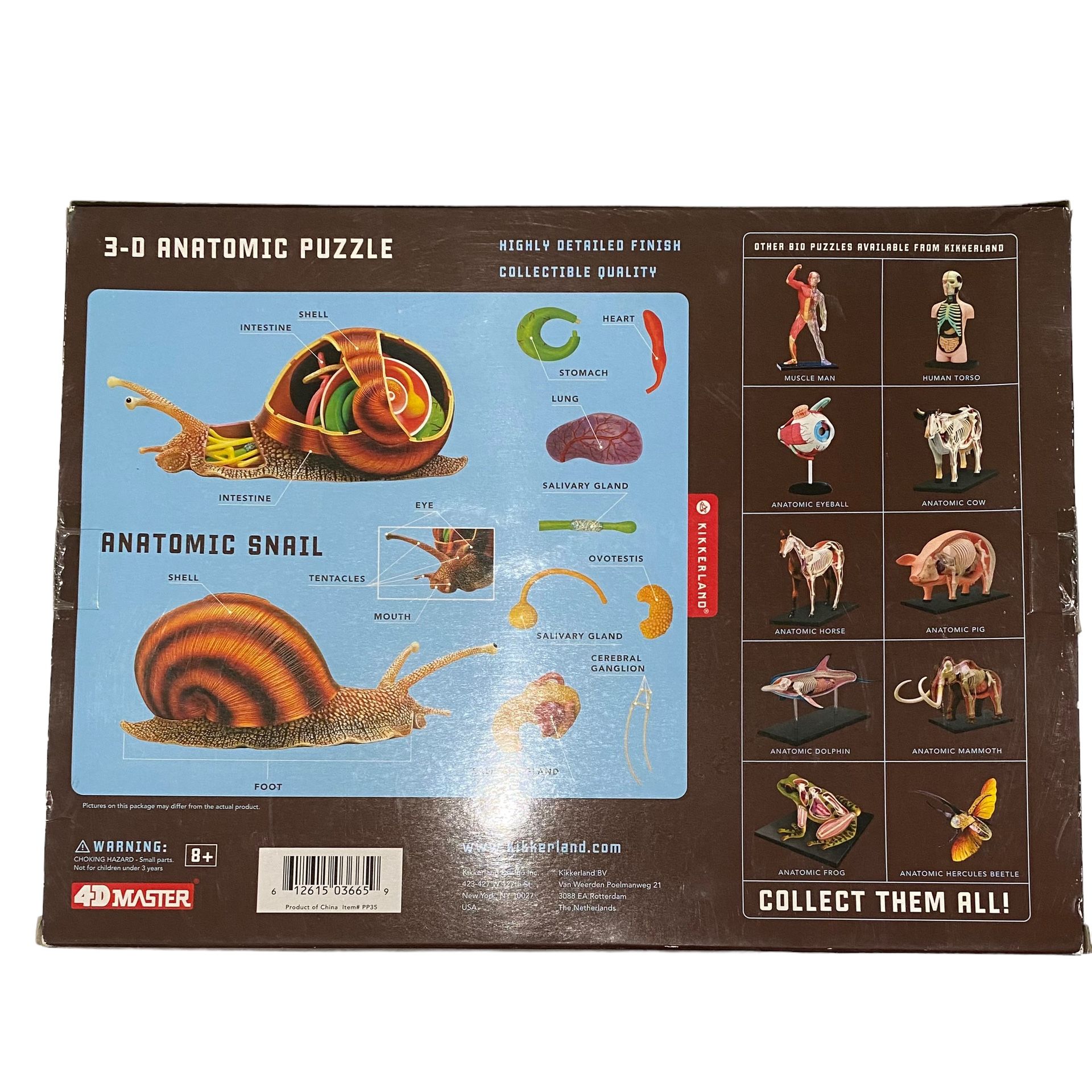 4D Master Vision Snail Educational Toy Puzzle Anatomic Stem 3-D