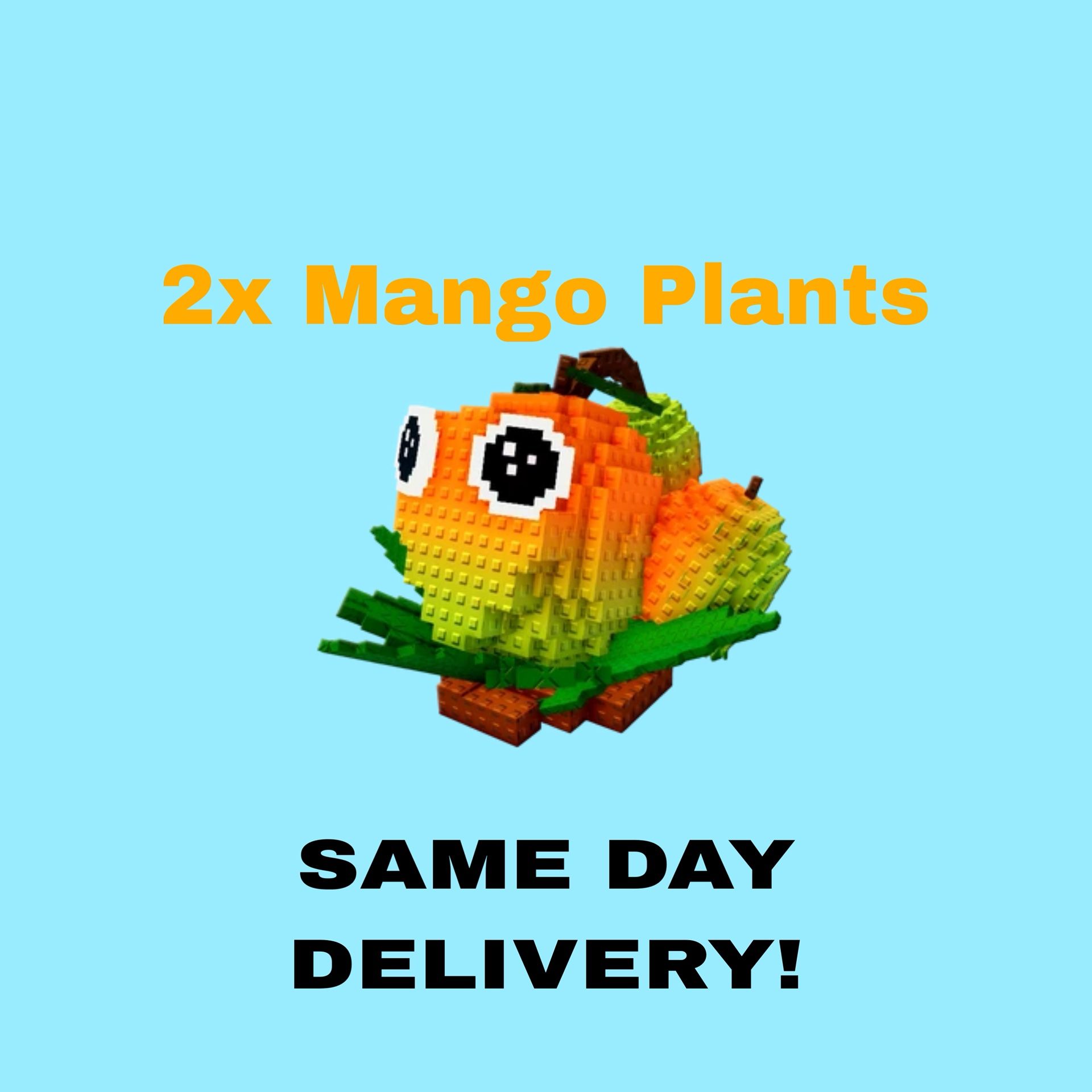 2X Mango Plants