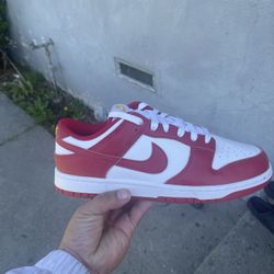 Dunks Special Brand new
