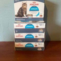 Royal Canine Cat Food