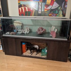 Large 220 Fish Tank