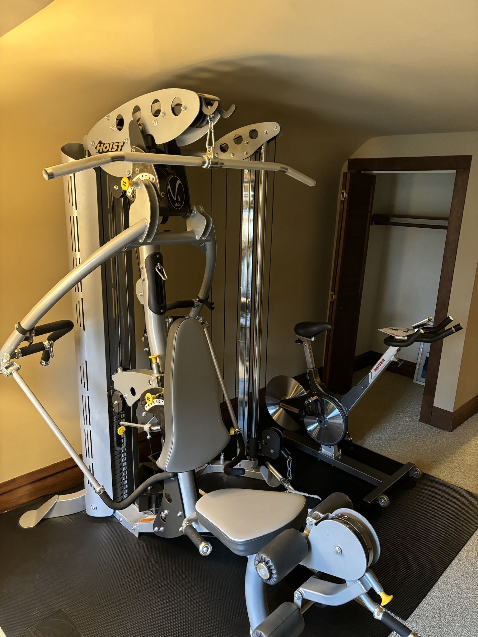 V4 Hoist Home Gym