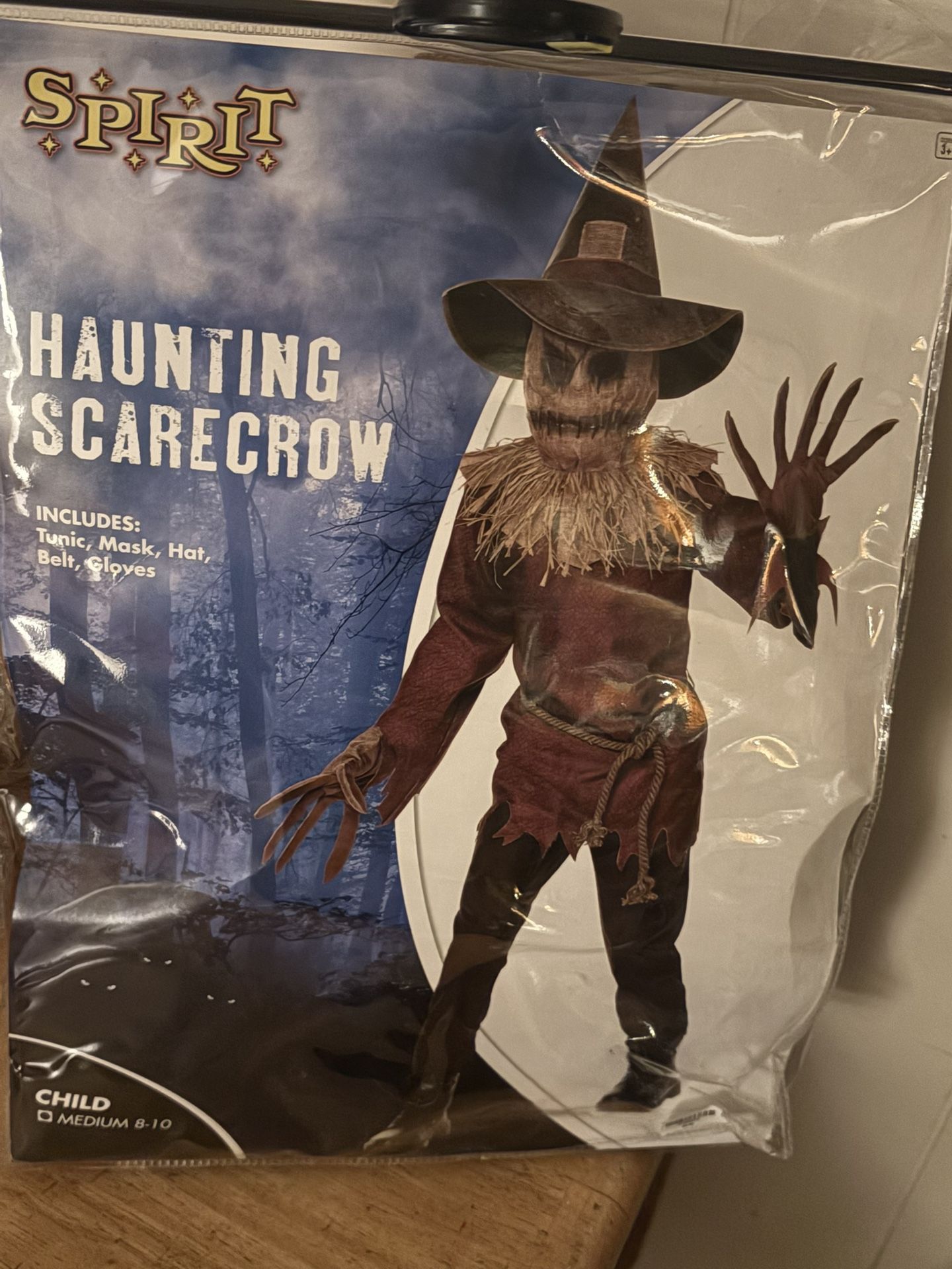 SPIRIT’ Haunting Scarecrow (CHILD:Med 8-10)