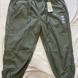 Levi's Women's Jet Set Taper Jogger Pants Olive Green 20W Plus New With Tags
